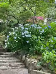 楽法寺（雨引観音）の自然