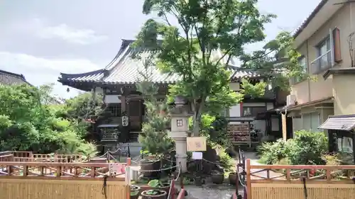 大蓮寺の庭園