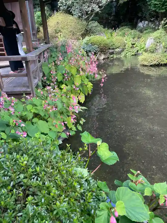 寂光院(京都府)
