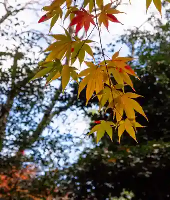 大原野神社(京都府)