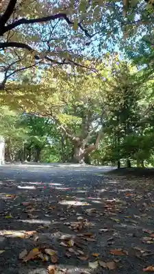 相馬神社(北海道)