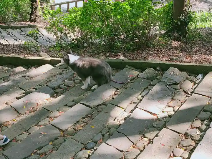 久能山東照宮(静岡県)