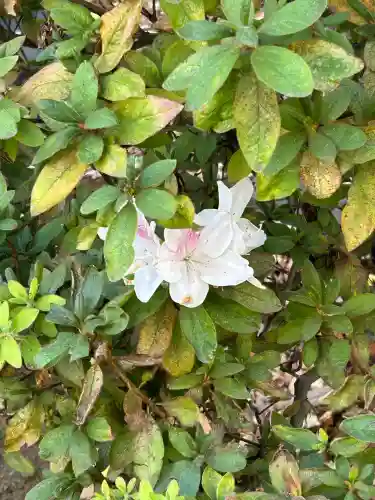 鳩森八幡神社(東京都)