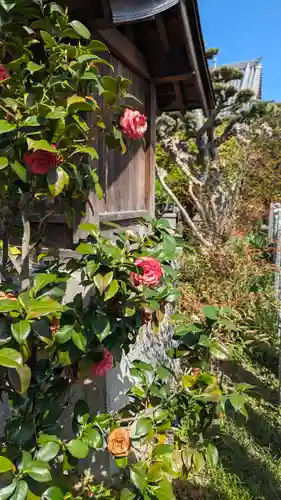 大松禅寺(京都府)