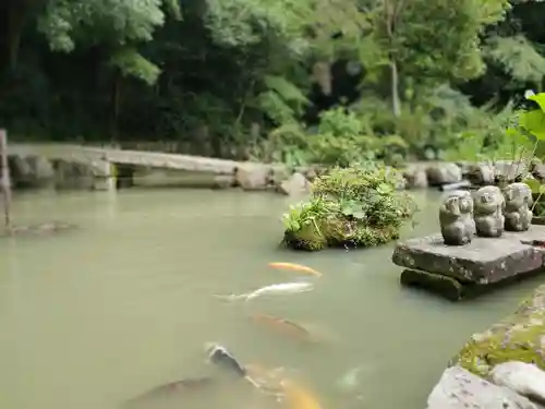 鎮國寺の庭園