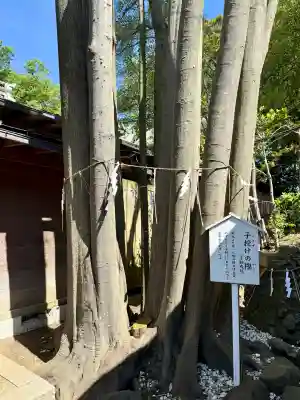 検見川神社の{uncategorized: "未分類", other: "その他", undefined: "問題あり", building: "その他建物", grave: "お墓", sacred_gate: "鳥居", guardian: "狛犬", statue: "像", buddha: "仏像", history: "歴史", nature: "自然", garden: "庭園", animal: "動物", pagoda: "塔", temizu: "手水舎", mountain_gate: "山門・神門", sanctuary: "本殿・本堂", subordinate: "末社・摂社", art: "芸術", scenery: "景色", jizo: "地蔵", ema: "絵馬", goshuin: "御朱印", omikuji: "おみくじ", items: "授与品その他", amulet: "お守り", goshuincho: "御朱印帳", eats: "食事", festival: "お祭り", votive_dance: "神楽", shichigosan: "七五三参", wedding: "結婚式", experience: "体験その他", initially: "初詣", around: "周辺", anti_infection: "感染症対策"}