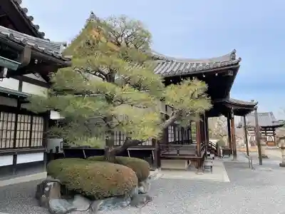 浄土院(京都府)