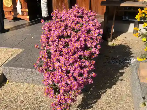 水堂須佐男神社(兵庫県)