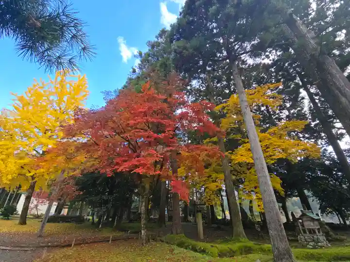興聖寺(滋賀県)