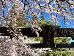 山家神社の鳥居