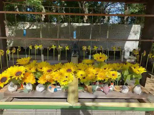 國分八幡宮(香川県)