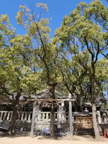湊川神社(兵庫県)