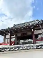 正福寺の{uncategorized: "未分類", other: "その他", undefined: "問題あり", building: "その他建物", grave: "お墓", sacred_gate: "鳥居", guardian: "狛犬", statue: "像", buddha: "仏像", history: "歴史", nature: "自然", garden: "庭園", animal: "動物", pagoda: "塔", temizu: "手水舎", mountain_gate: "山門・神門", sanctuary: "本殿・本堂", subordinate: "末社・摂社", art: "芸術", scenery: "景色", jizo: "地蔵", ema: "絵馬", goshuin: "御朱印", omikuji: "おみくじ", items: "授与品その他", amulet: "お守り", goshuincho: "御朱印帳", eats: "食事", festival: "お祭り", votive_dance: "神楽", shichigosan: "七五三参", wedding: "結婚式", experience: "体験その他", initially: "初詣", around: "周辺", anti_infection: "感染症対策"}