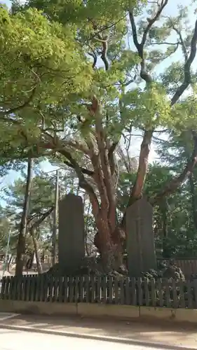 意富比神社のその他建物