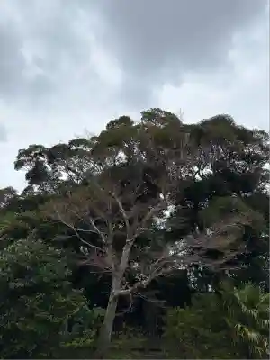 長福寿寺(千葉県)