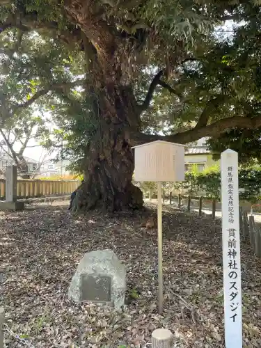 一之宮貫前神社の{uncategorized: "未分類", other: "その他", undefined: "問題あり", building: "その他建物", grave: "お墓", sacred_gate: "鳥居", guardian: "狛犬", statue: "像", buddha: "仏像", history: "歴史", nature: "自然", garden: "庭園", animal: "動物", pagoda: "塔", temizu: "手水舎", mountain_gate: "山門・神門", sanctuary: "本殿・本堂", subordinate: "末社・摂社", art: "芸術", scenery: "景色", jizo: "地蔵", ema: "絵馬", goshuin: "御朱印", omikuji: "おみくじ", items: "授与品その他", amulet: "お守り", goshuincho: "御朱印帳", eats: "食事", festival: "お祭り", votive_dance: "神楽", shichigosan: "七五三参", wedding: "結婚式", experience: "体験その他", initially: "初詣", around: "周辺", anti_infection: "感染症対策"}