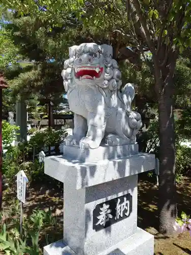 北見神社の狛犬