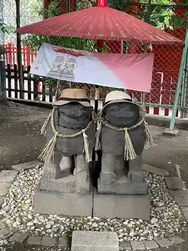 浅草神社の狛犬