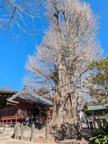 勝福寺(神奈川県)