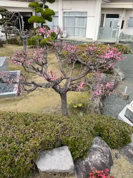 宗像観音寺(福岡県)