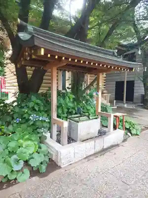 日枝神社の手水舎