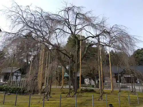 足羽神社(福井県)