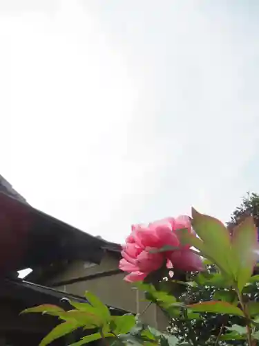 真光寺(千葉県)