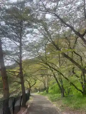 駒形嶽駒弓神社(長野県)