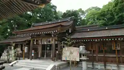 出雲大神宮の本殿・本堂