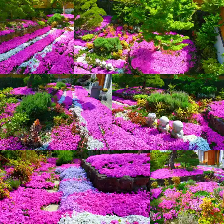 寿量山 速成寺(奈良県)