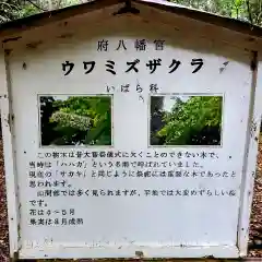 府八幡宮(静岡県)