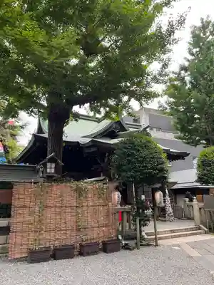 小野照崎神社の本殿・本堂