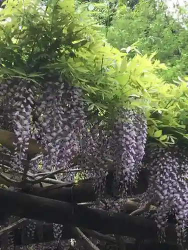 春日大社の自然