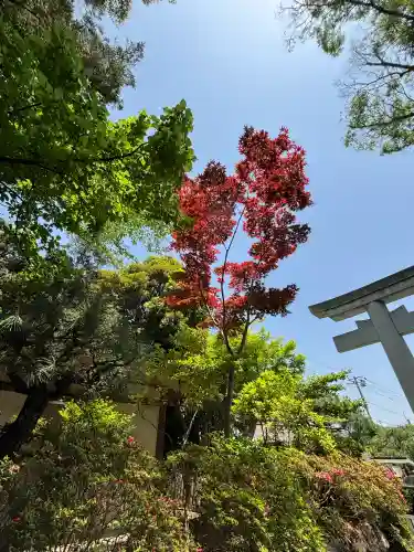 検見川神社(千葉県)