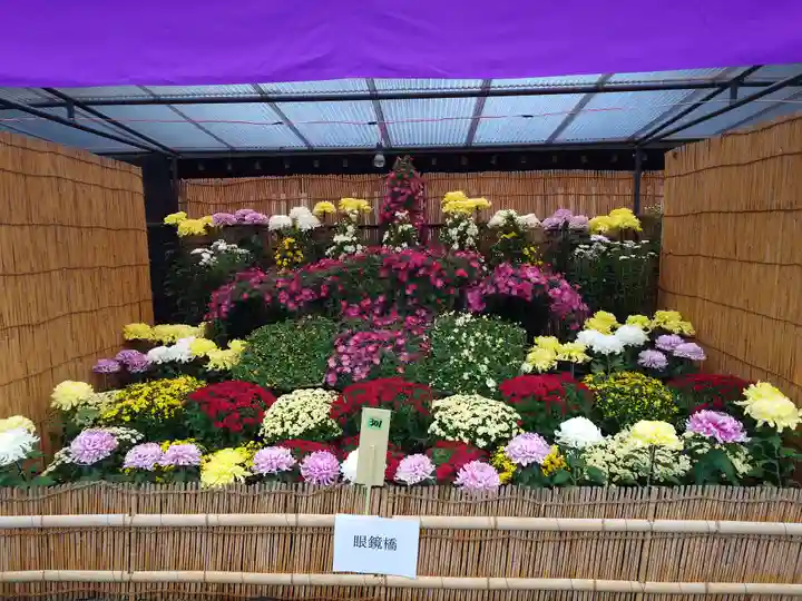 宗像大社(福岡県)