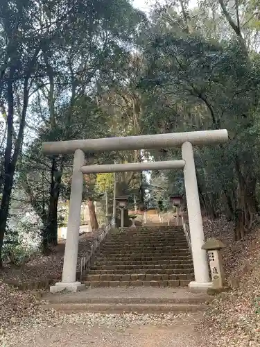 天岩戸神社　東本宮の{uncategorized: "未分類", other: "その他", undefined: "問題あり", building: "その他建物", grave: "お墓", sacred_gate: "鳥居", guardian: "狛犬", statue: "像", buddha: "仏像", history: "歴史", nature: "自然", garden: "庭園", animal: "動物", pagoda: "塔", temizu: "手水舎", mountain_gate: "山門・神門", sanctuary: "本殿・本堂", subordinate: "末社・摂社", art: "芸術", scenery: "景色", jizo: "地蔵", ema: "絵馬", goshuin: "御朱印", omikuji: "おみくじ", items: "授与品その他", amulet: "お守り", goshuincho: "御朱印帳", eats: "食事", festival: "お祭り", votive_dance: "神楽", shichigosan: "七五三参", wedding: "結婚式", experience: "体験その他", initially: "初詣", around: "周辺", anti_infection: "感染症対策"}