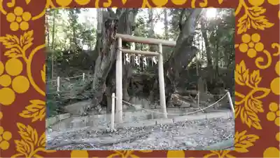 常陸國總社宮(茨城県)