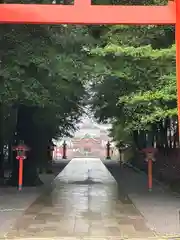 霧島神宮(鹿児島県)