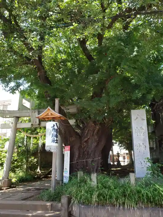 下高井戸八幡神社(東京都)
