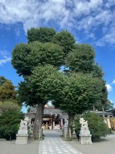 亀ケ池八幡宮のその他建物