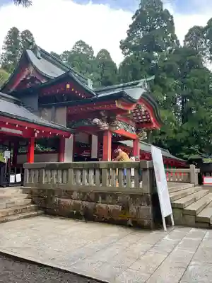 霧島神宮(鹿児島県)