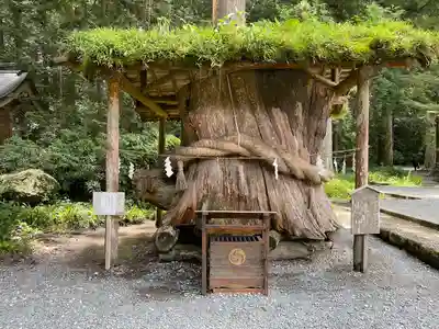 小國神社(静岡県)