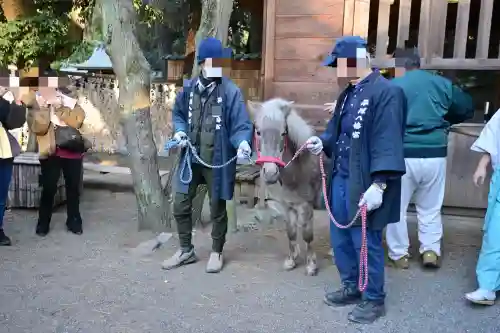 平塚八幡宮の{uncategorized: "未分類", other: "その他", undefined: "問題あり", building: "その他建物", grave: "お墓", sacred_gate: "鳥居", guardian: "狛犬", statue: "像", buddha: "仏像", history: "歴史", nature: "自然", garden: "庭園", animal: "動物", pagoda: "塔", temizu: "手水舎", mountain_gate: "山門・神門", sanctuary: "本殿・本堂", subordinate: "末社・摂社", art: "芸術", scenery: "景色", jizo: "地蔵", ema: "絵馬", goshuin: "御朱印", omikuji: "おみくじ", items: "授与品その他", amulet: "お守り", goshuincho: "御朱印帳", eats: "食事", festival: "お祭り", votive_dance: "神楽", shichigosan: "七五三参", wedding: "結婚式", experience: "体験その他", initially: "初詣", around: "周辺", anti_infection: "感染症対策"}