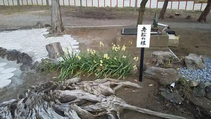 横根稲荷神社の自然
