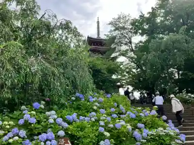 本土寺(千葉県)