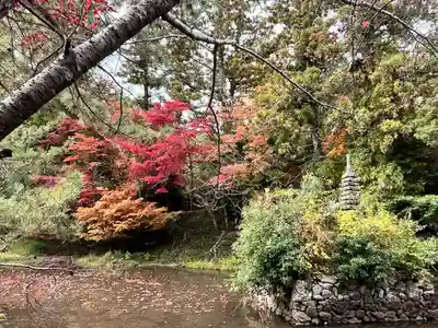 鍬山神社(京都府)