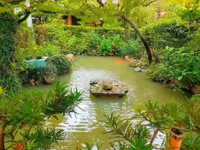 青大悲寺の庭園