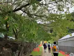 横浜　西方寺の周辺