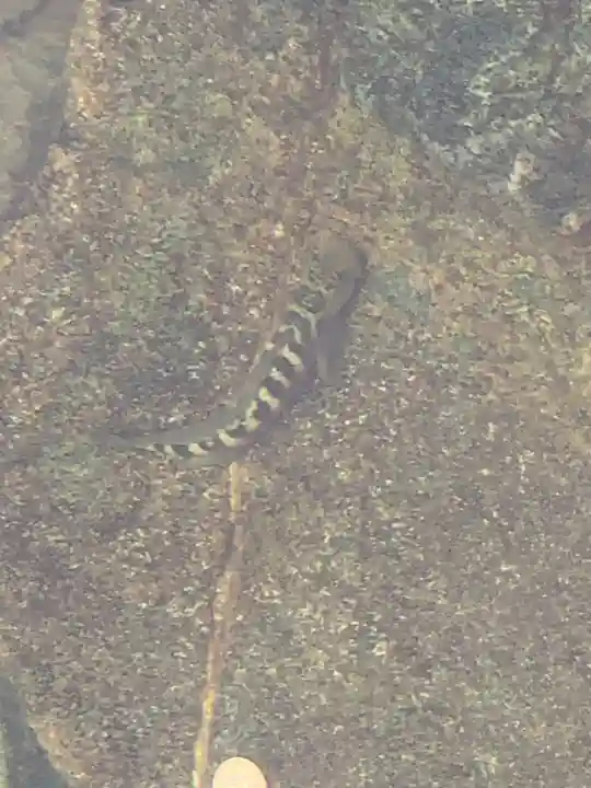 伊勢神宮内宮(皇大神宮)(三重県)