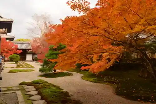 天授庵(京都府)